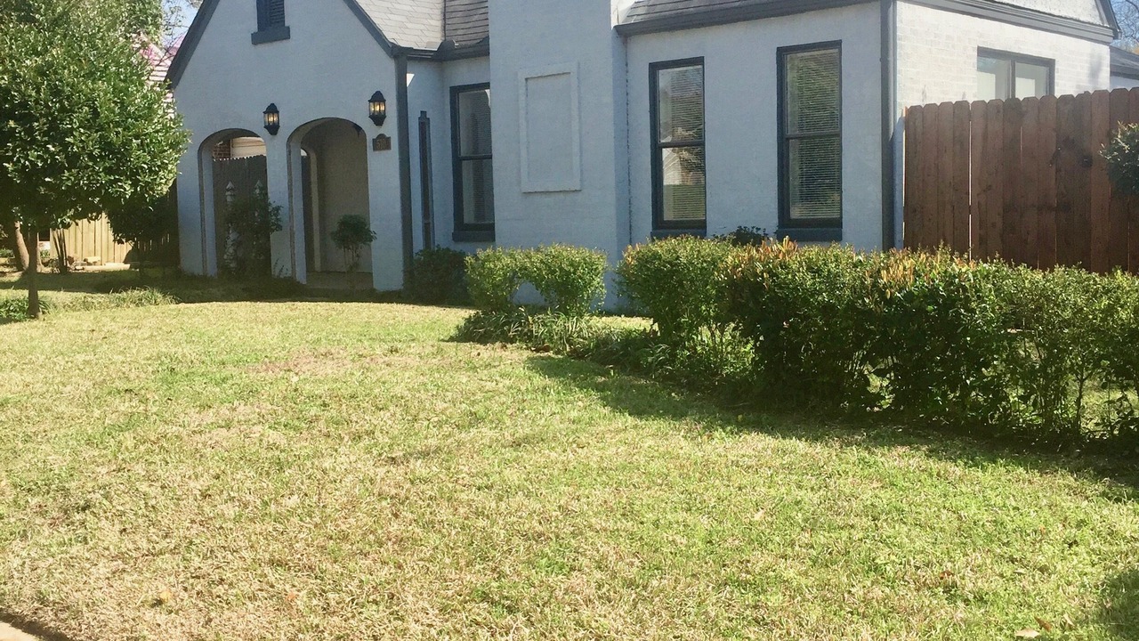 Photo of Others in Tyler