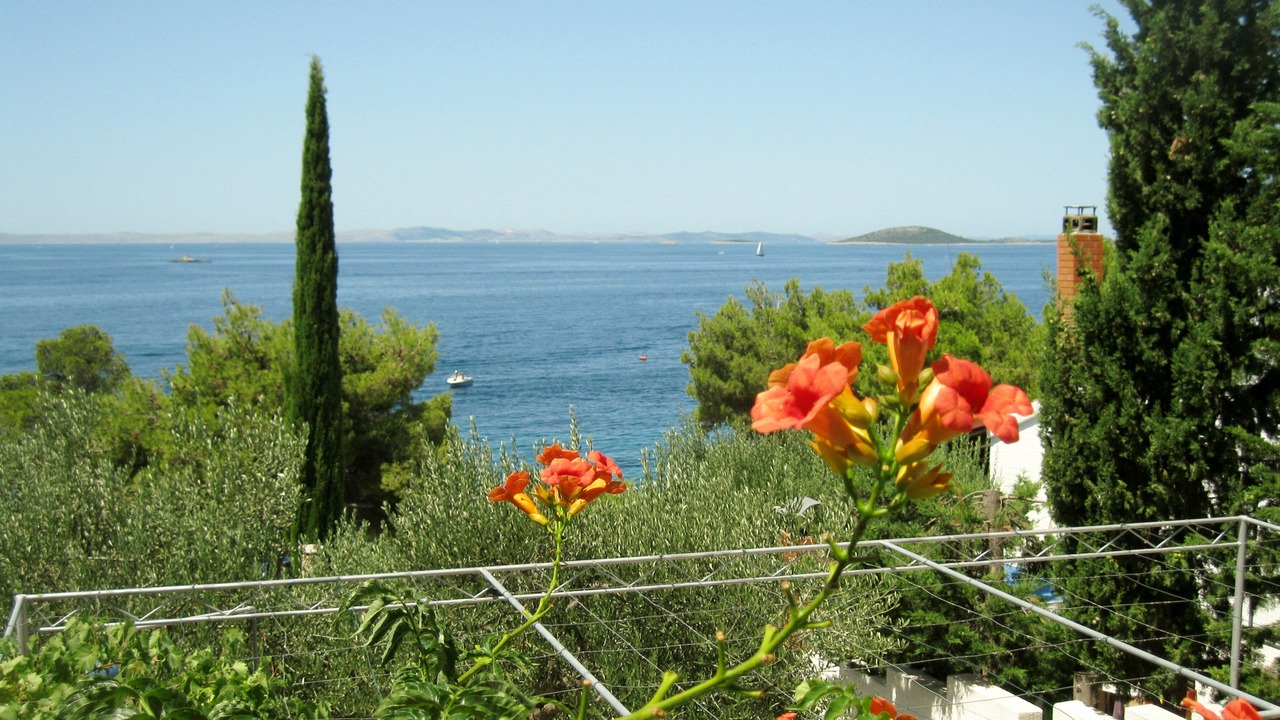 Photo of Outdoor in Susica