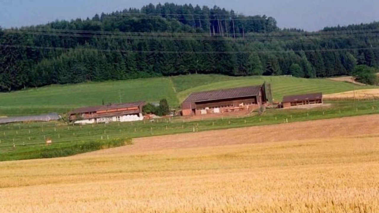 Photo of Others in Dietikon District