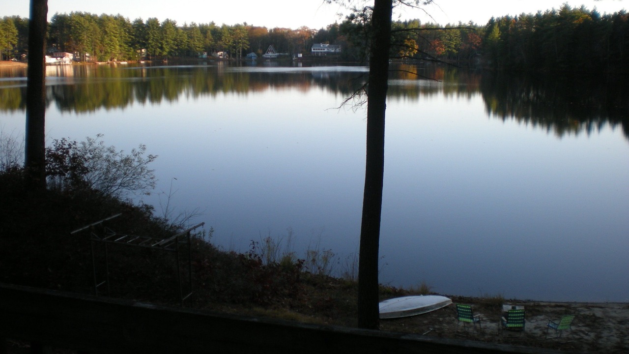 Photo of Others in Orange