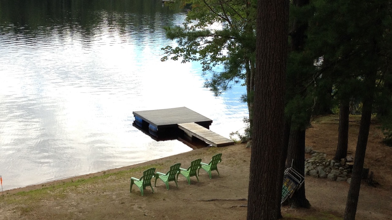 Photo of Others in Orange