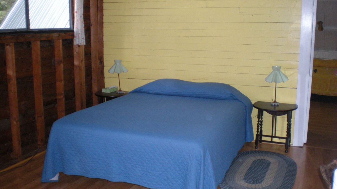 Photo of Others in Orange