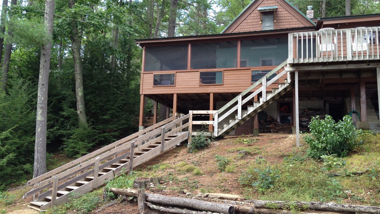 Photo of Others in Orange