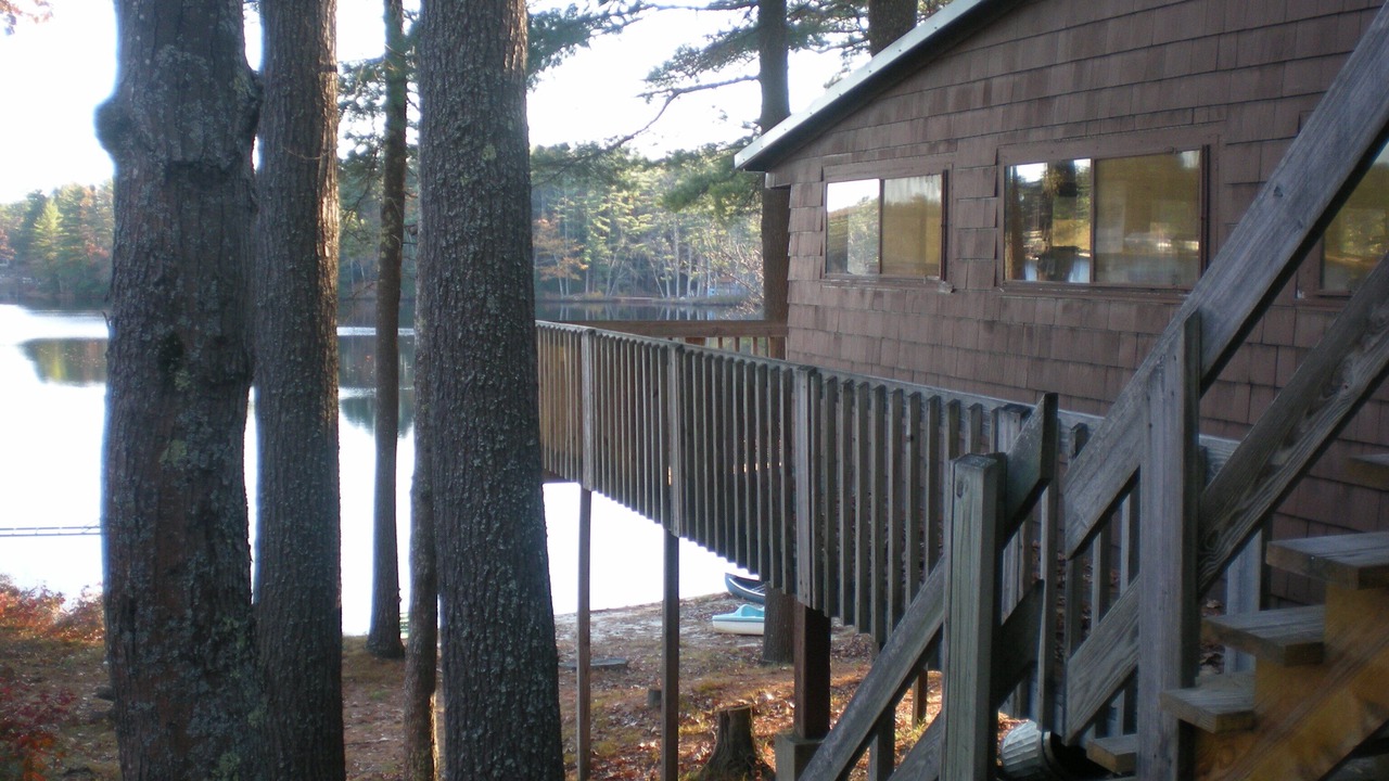 Photo of Others in Orange