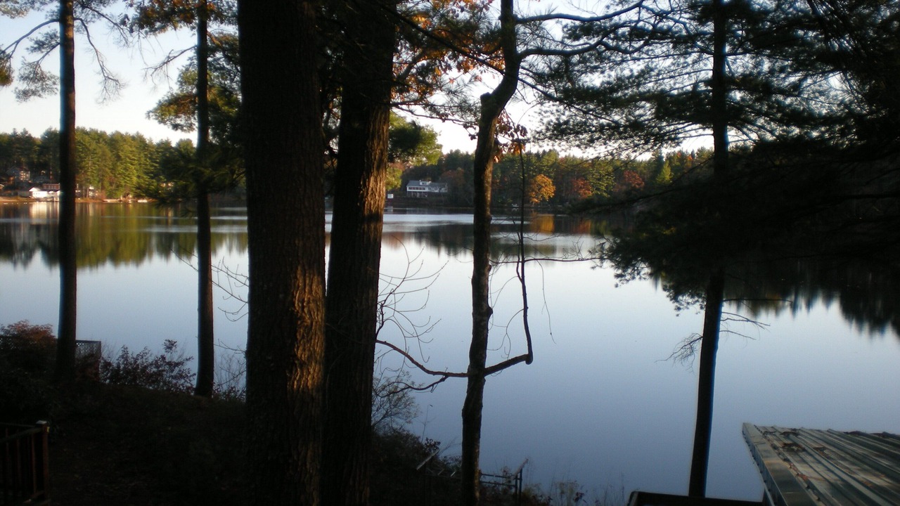 Photo of Outdoor in Orange