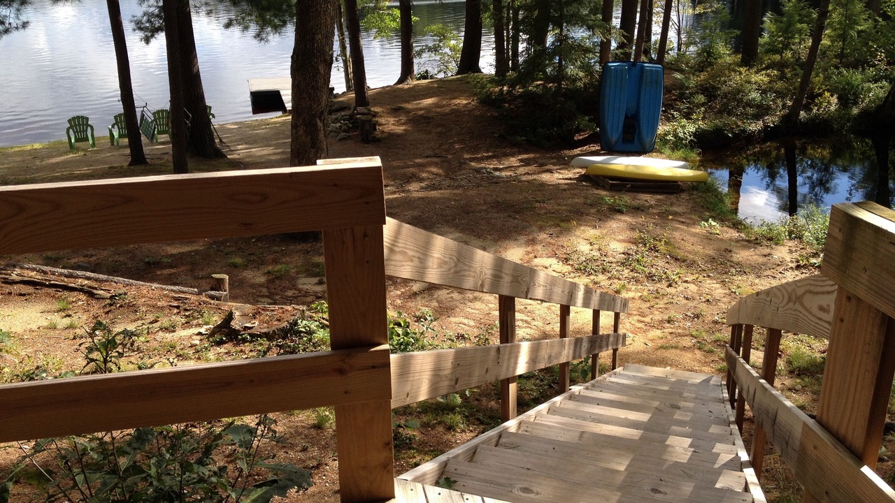 Photo of Others in Orange