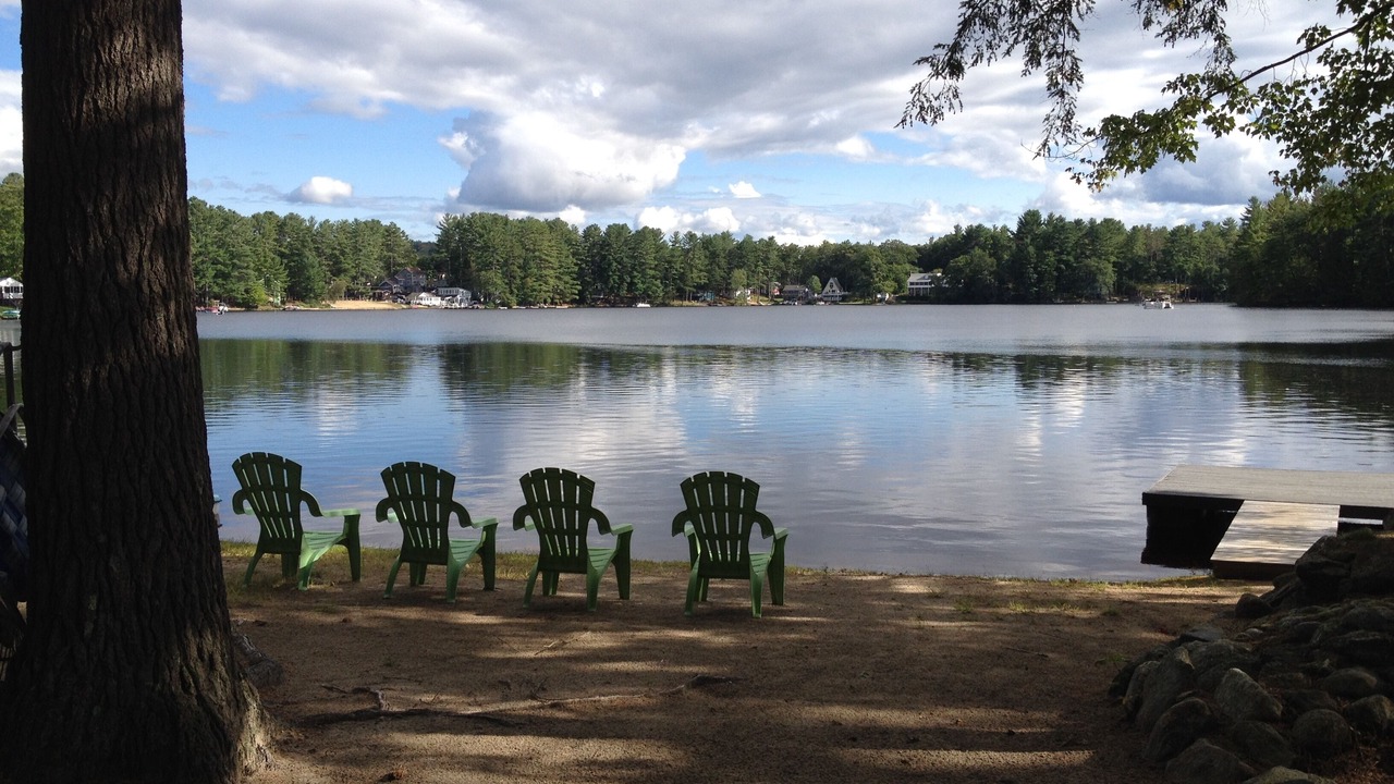 Photo of Others in Orange