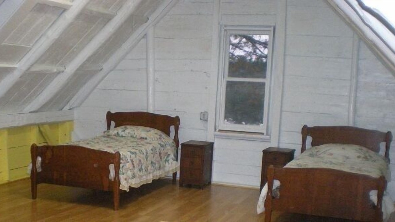 Photo of Others in Orange