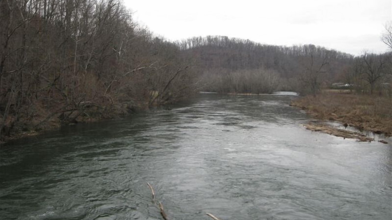 Photo of Others in Johnson City