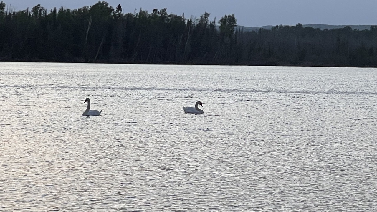 Photo of Outdoor in Petoskey