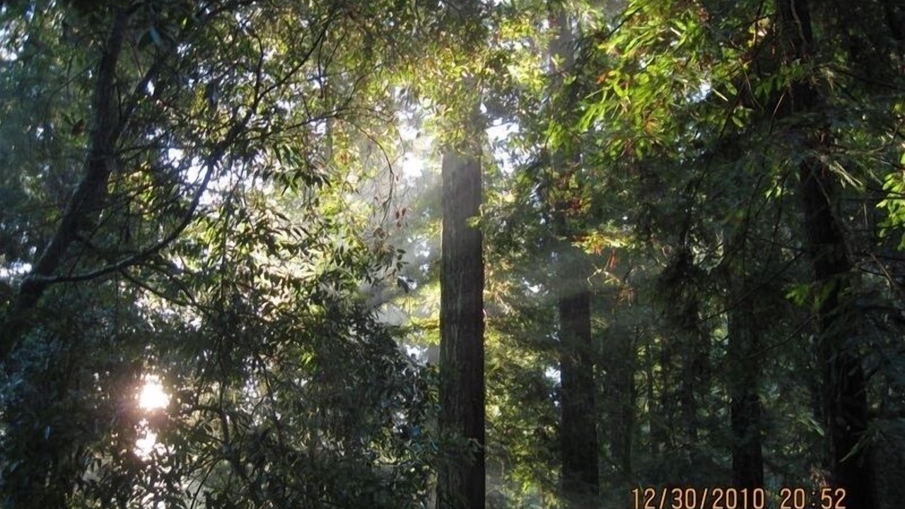 Photo of Others in Camp Meeker