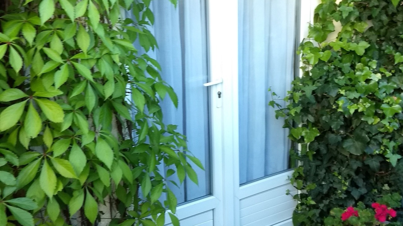 Photo of Outdoor in Saumur