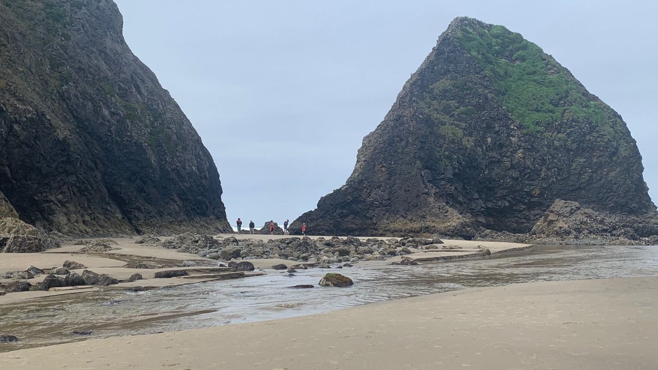 Photo of Others in Arch Cape