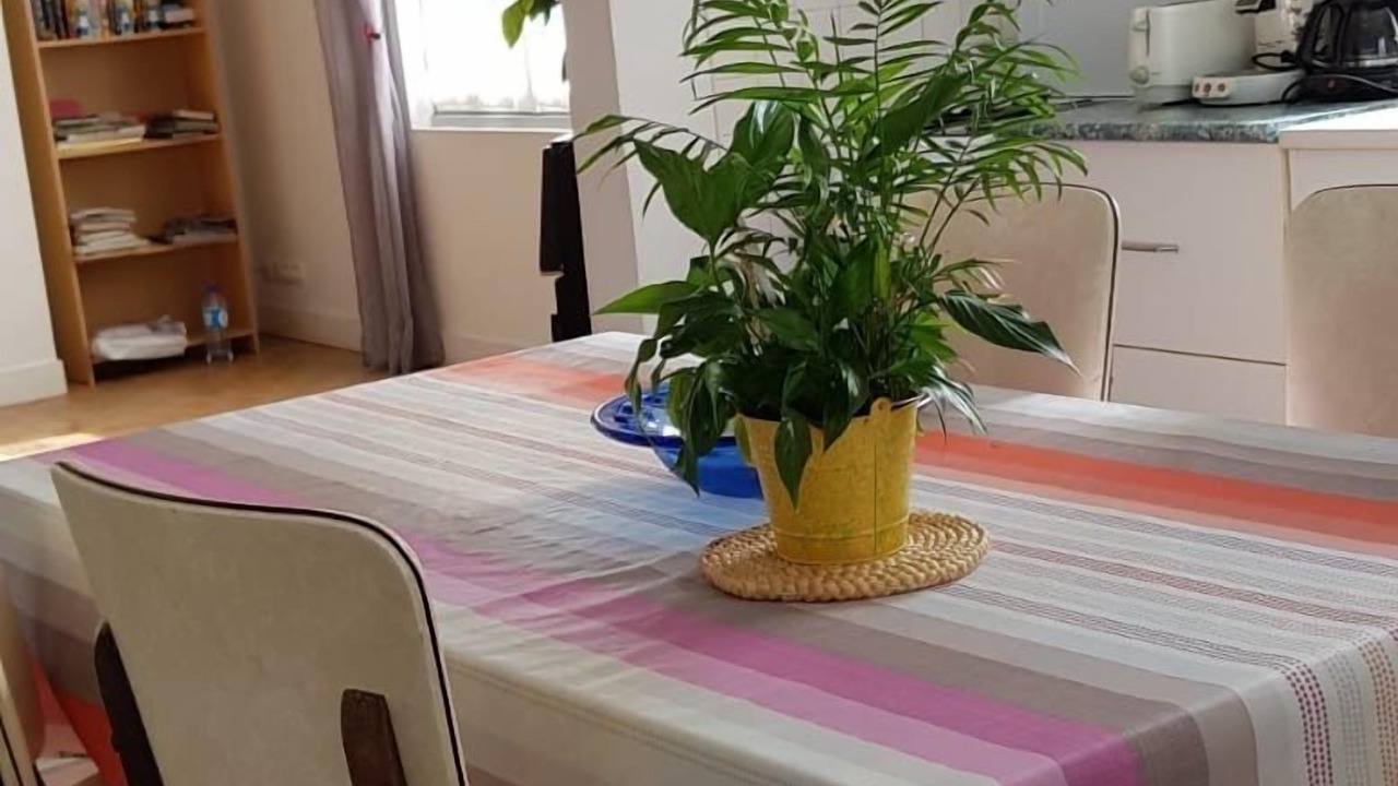 Photo of Others in Chateau-la-Valliere