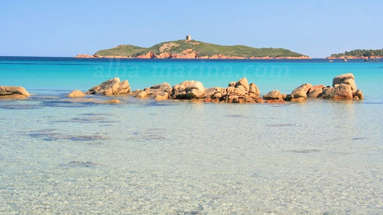 Photo of Others in Porto-Vecchio