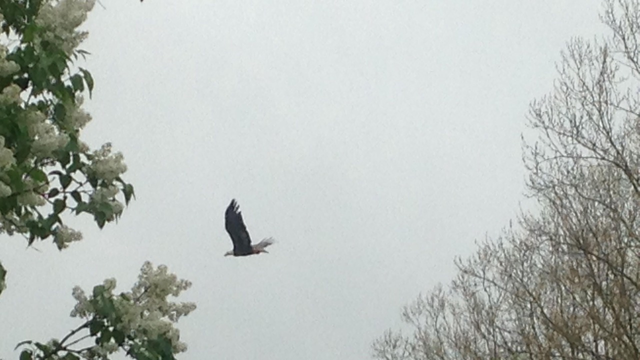 Photo of Others in Owego