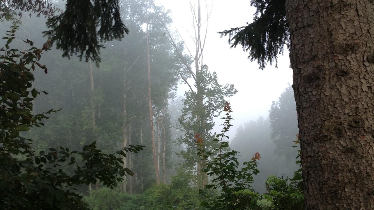 Photo of Others in Owego