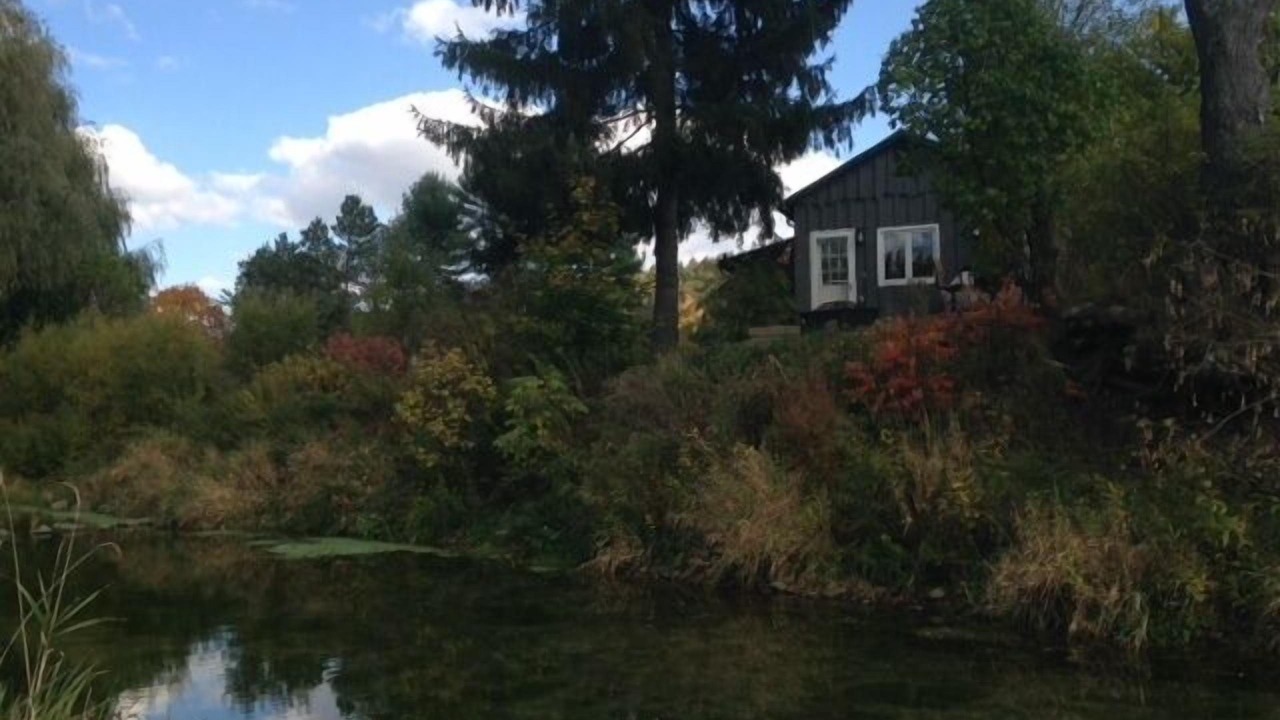 Photo of Others in Owego