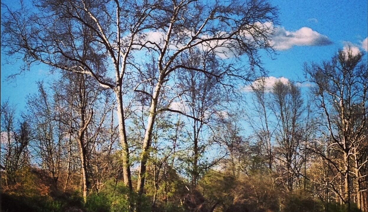 Photo of Others in Owego