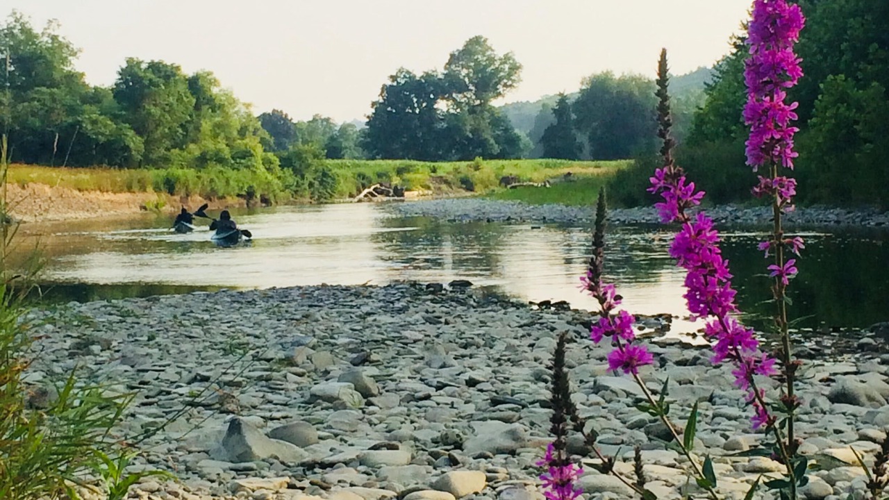 Photo of Others in Owego