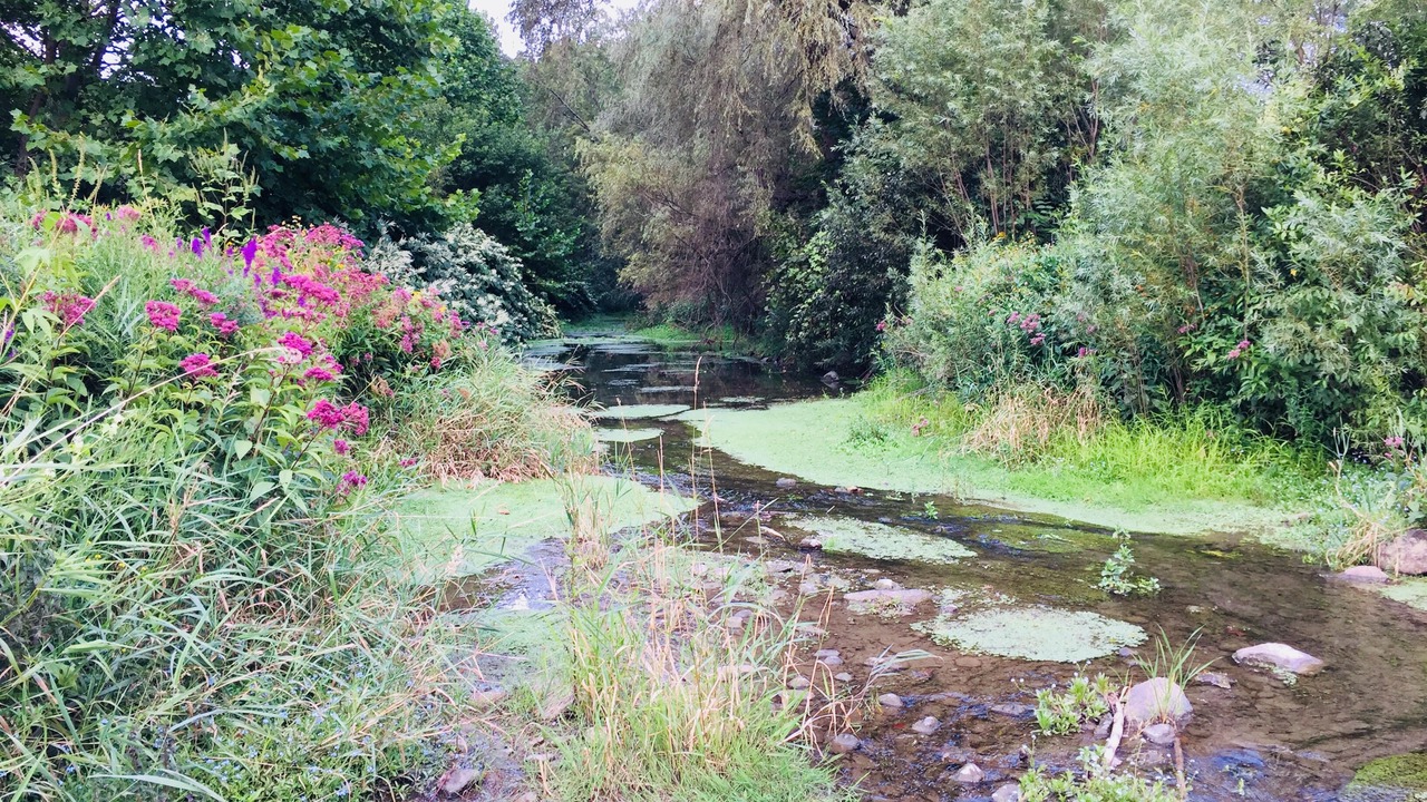 Photo of Others in Owego