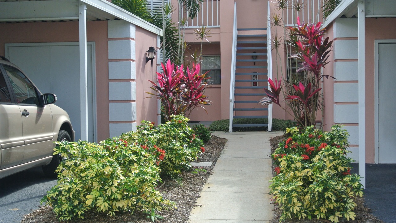 Photo of Others in Plantation