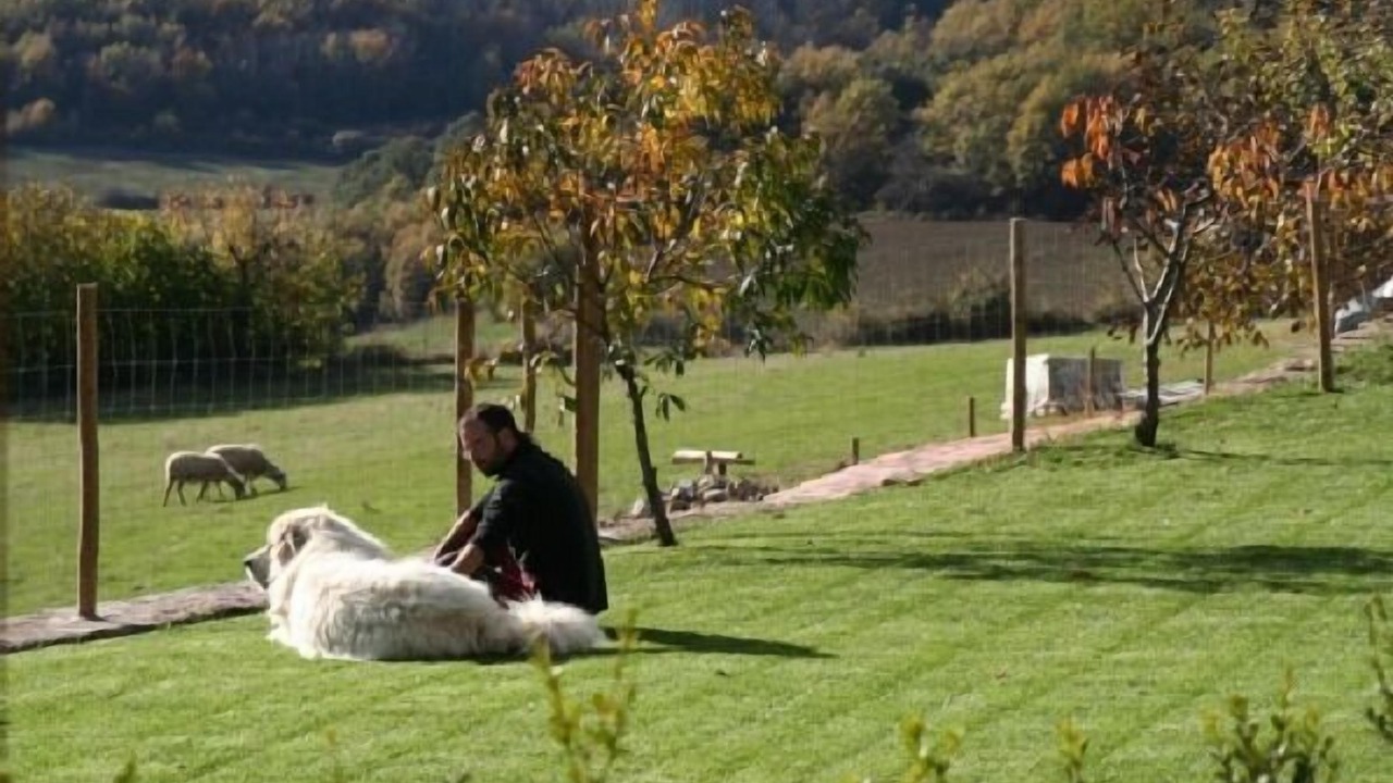 Photo of Outdoor in Montcortes