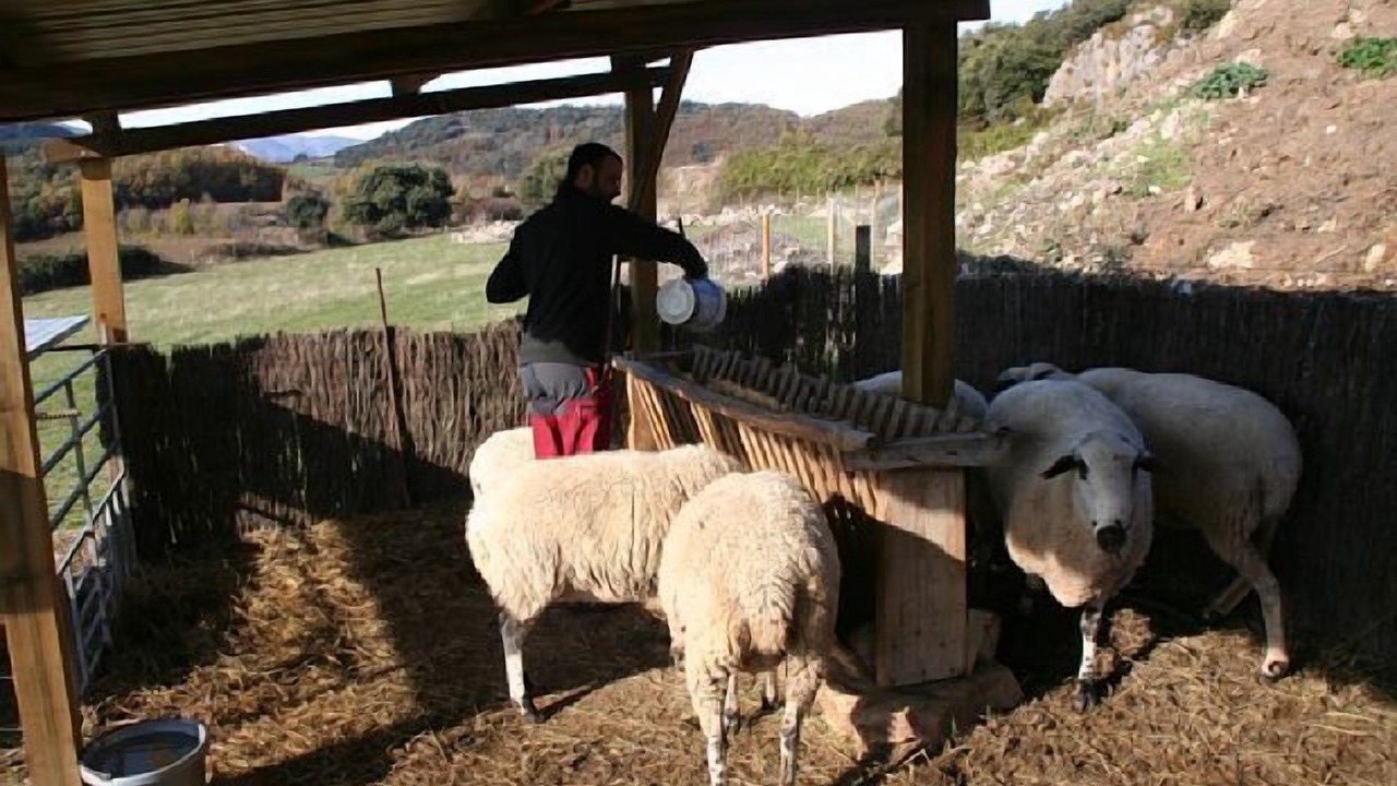 Photo of Others in Montcortes