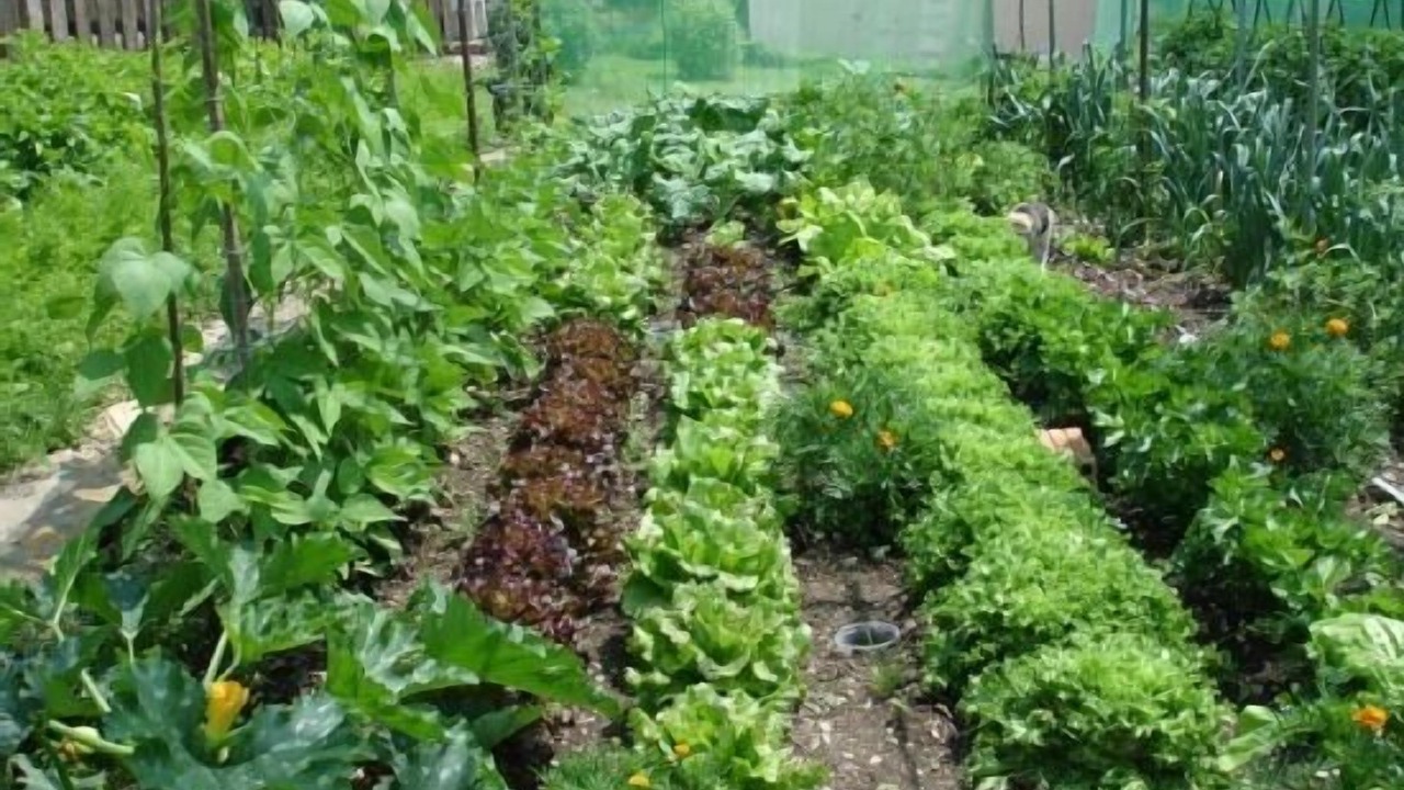 Photo of Outdoor in Montcortes