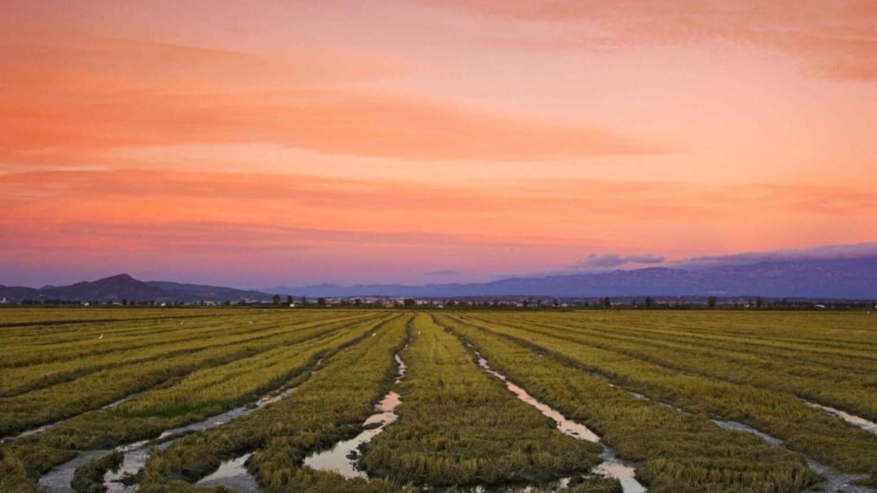 Photo of Outdoor in Amposta