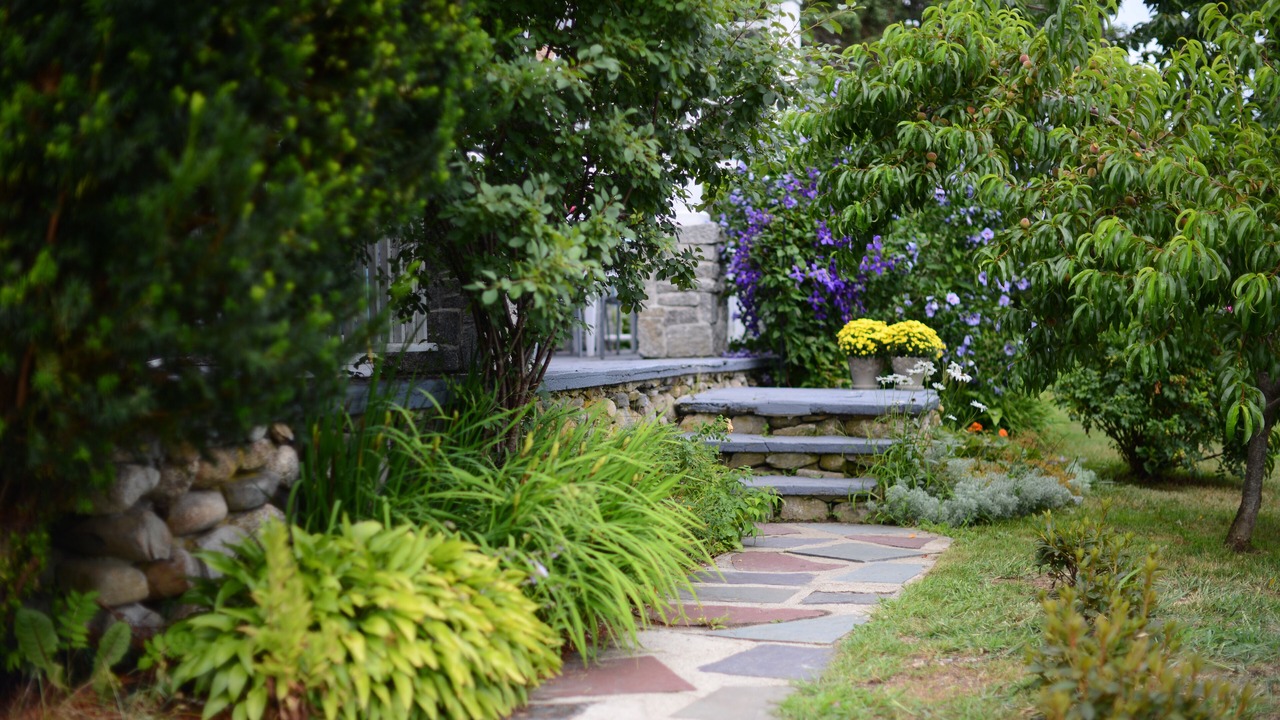 Photo of Others in Castine