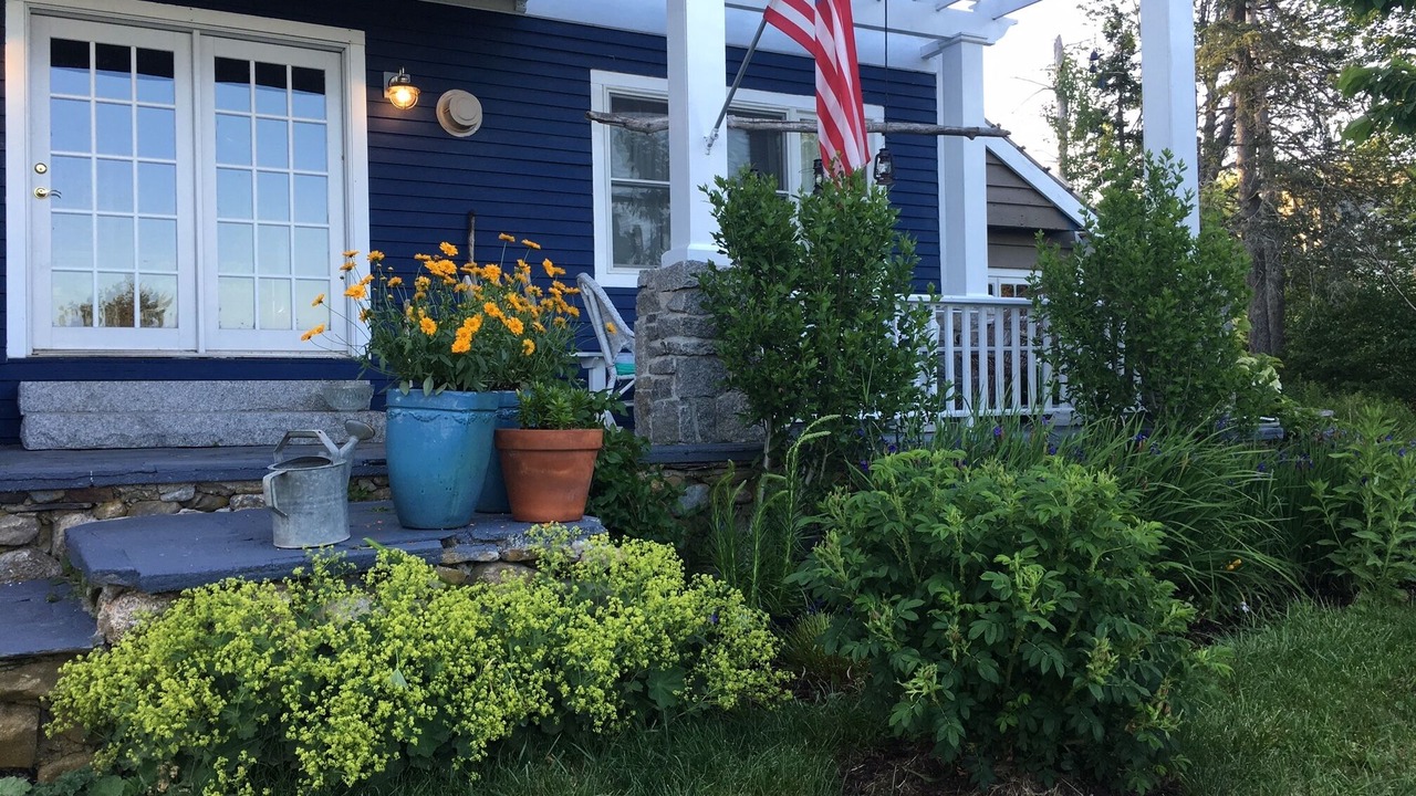 Photo of Others in Castine