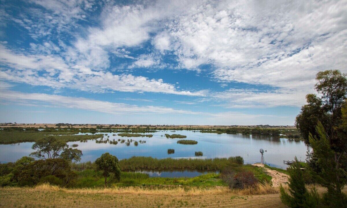 Photo of Outdoor in Seymour