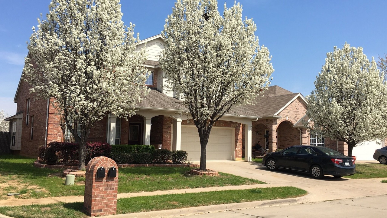 Photo of Outdoor in Central Arlington