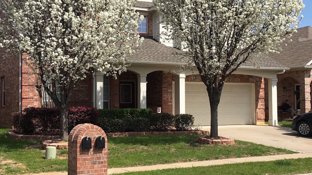 Photo of Outdoor in Central Arlington