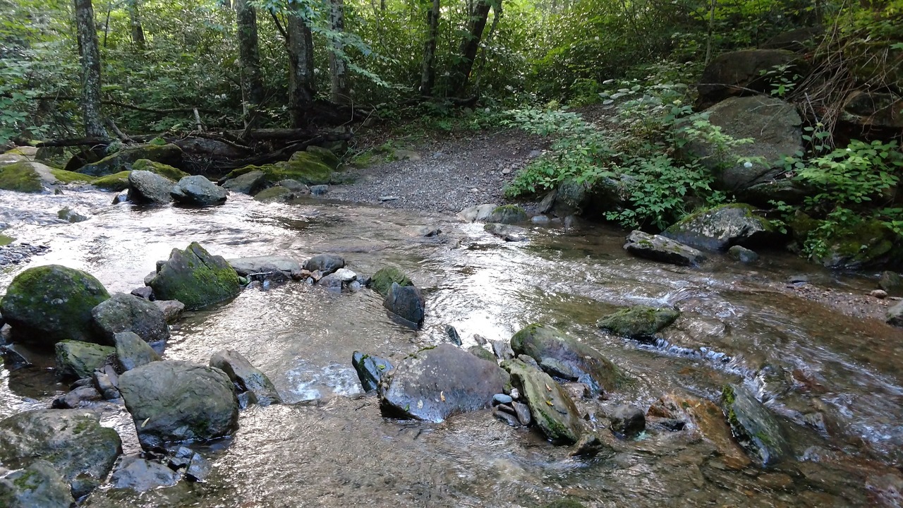 Photo of Others in Cattail Creek