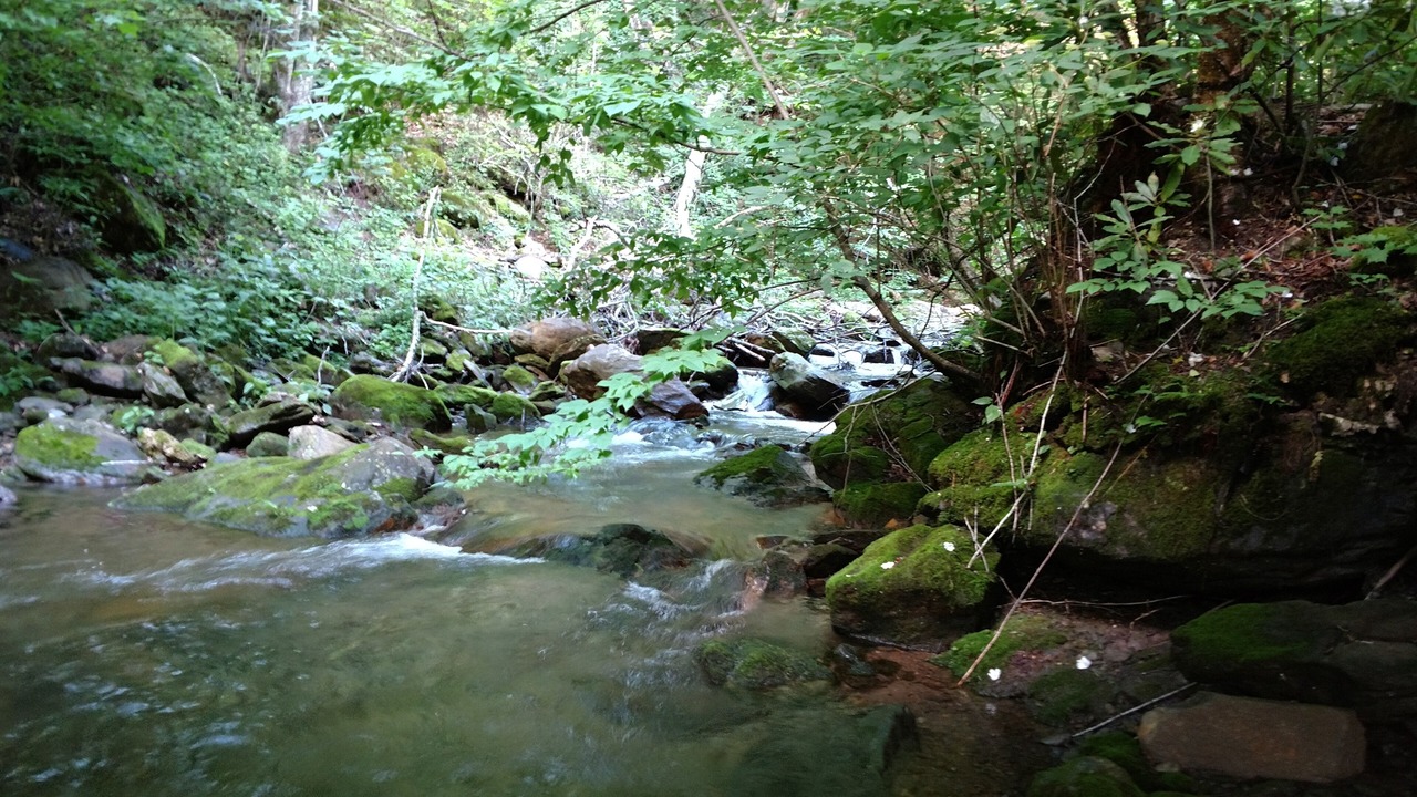 Photo of Others in Cattail Creek