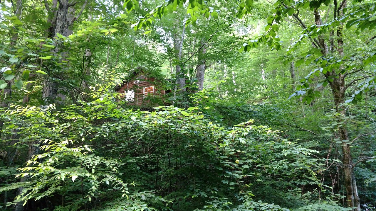 Photo of Others in Cattail Creek