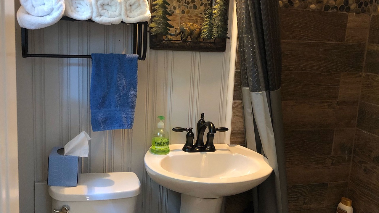 Photo of Bathroom in Cattail Creek