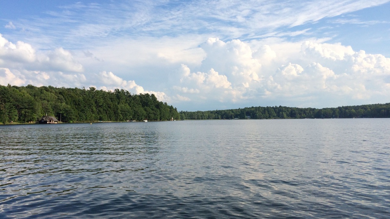 Photo of Others in Norwich