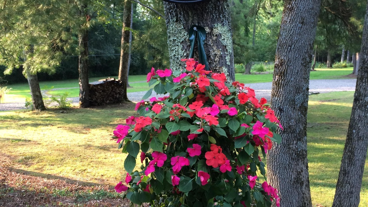 Photo of Outdoor in Norwich