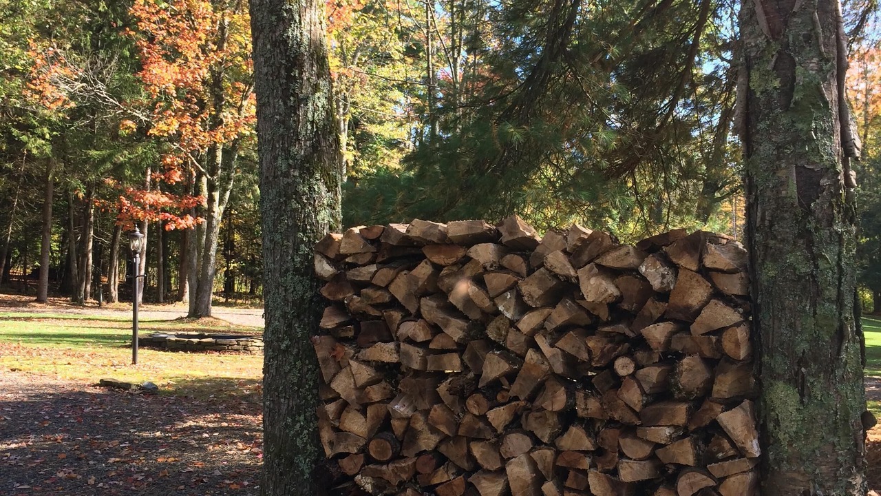 Photo of Outdoor in Norwich