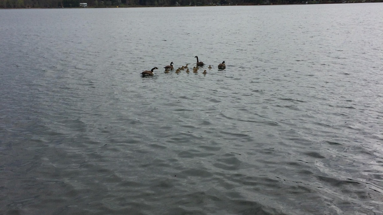 Photo of Others in Norwich