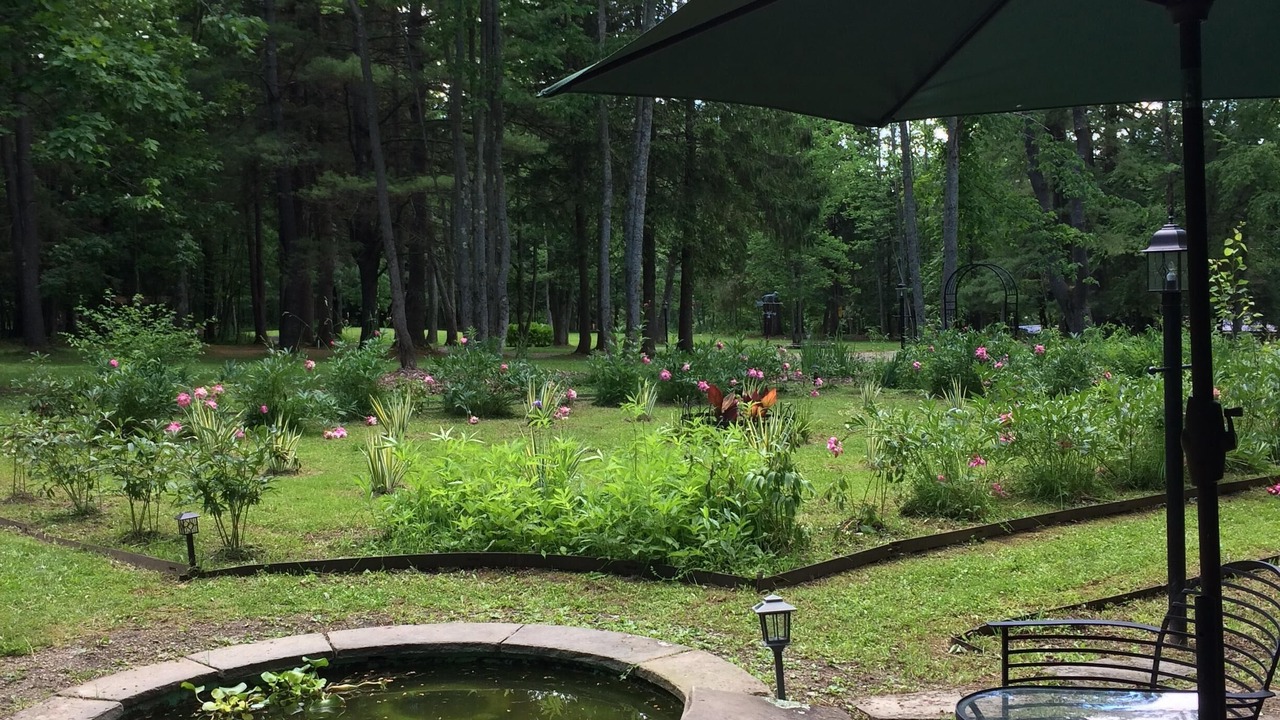 Photo of Outdoor in Norwich