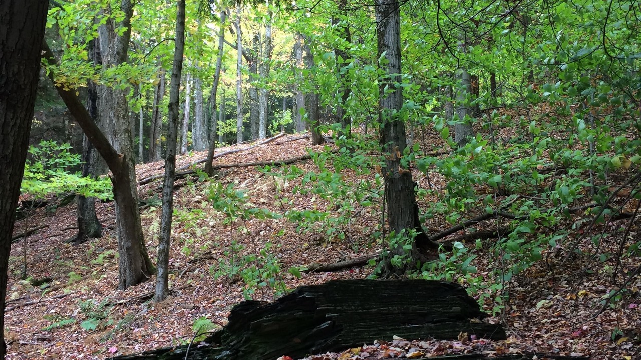 Photo of Outdoor in Norwich