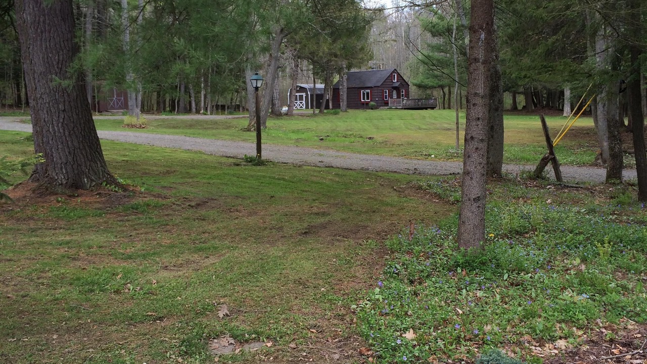 Photo of Outdoor in Norwich