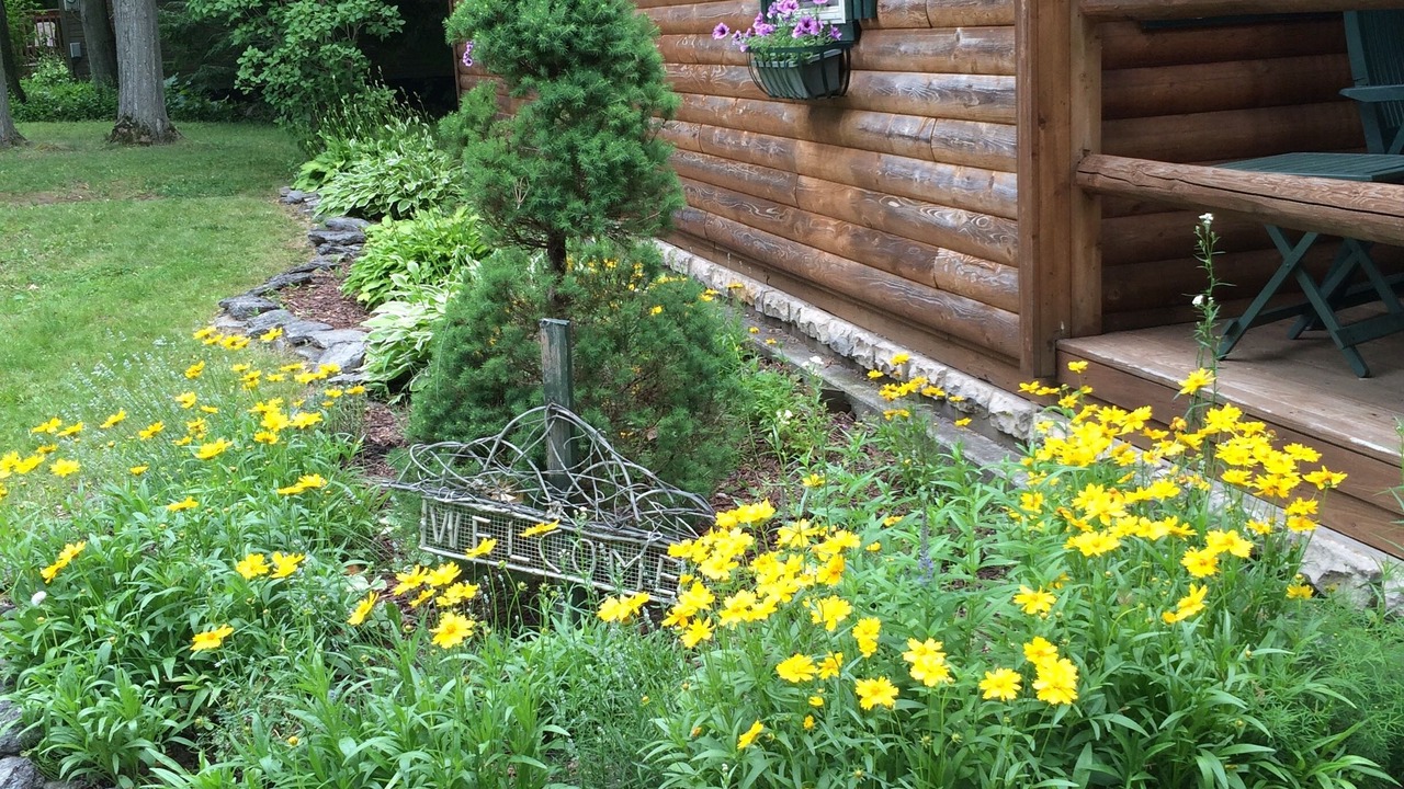 Photo of Outdoor in Town of Hounsfield