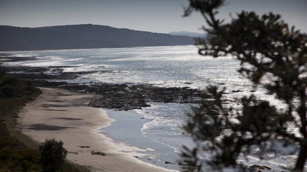 Photo of Others in Walkerville North