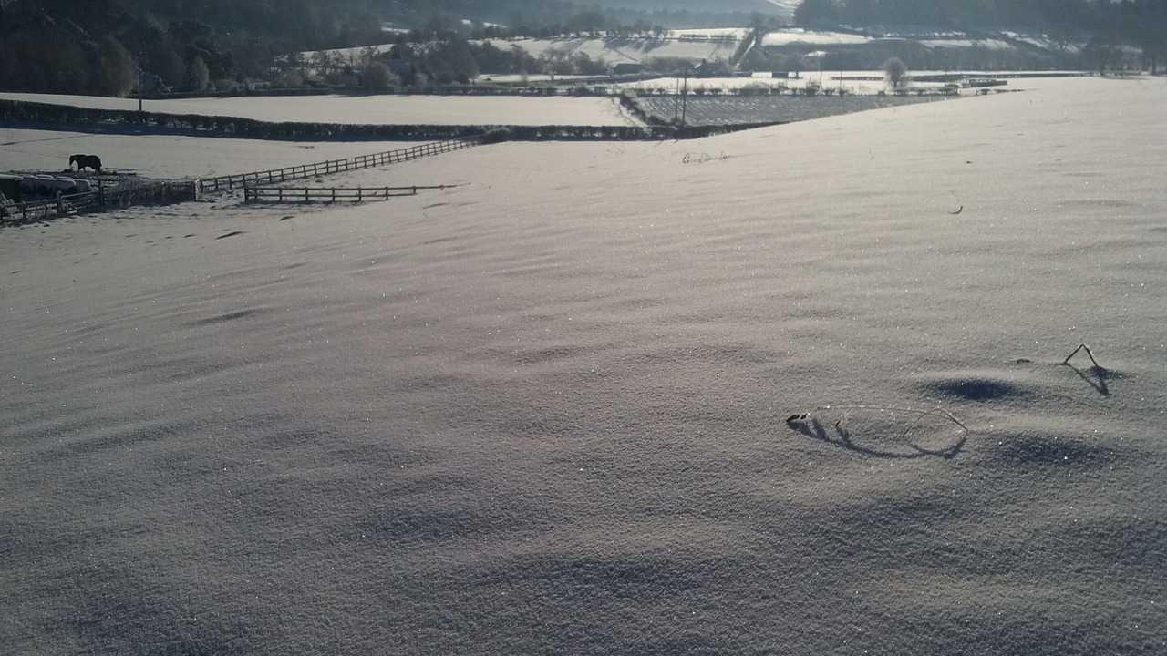 Photo of Others in Llanarmon-yn-Ial