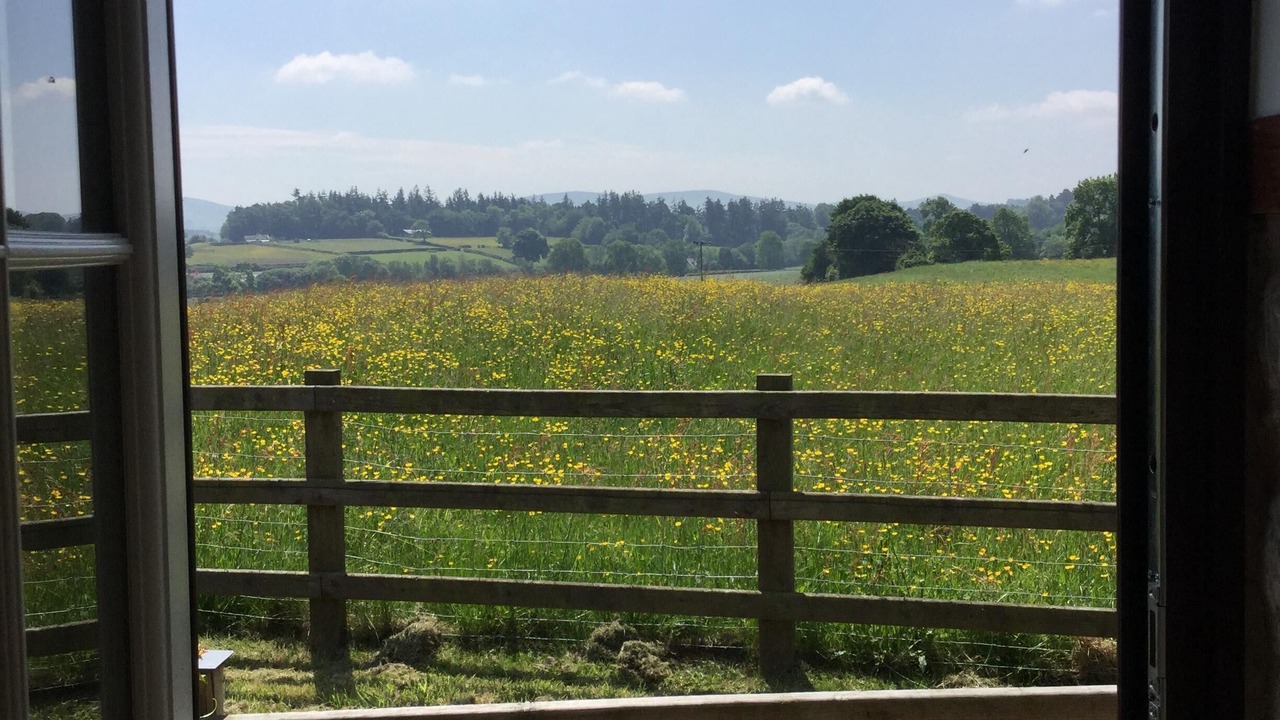 Photo of Others in Llanarmon-yn-Ial